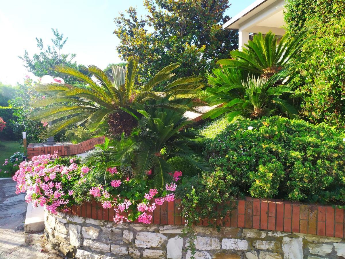 B&B Tra Mare E Marmo Marina Di Carrara Exterior foto
