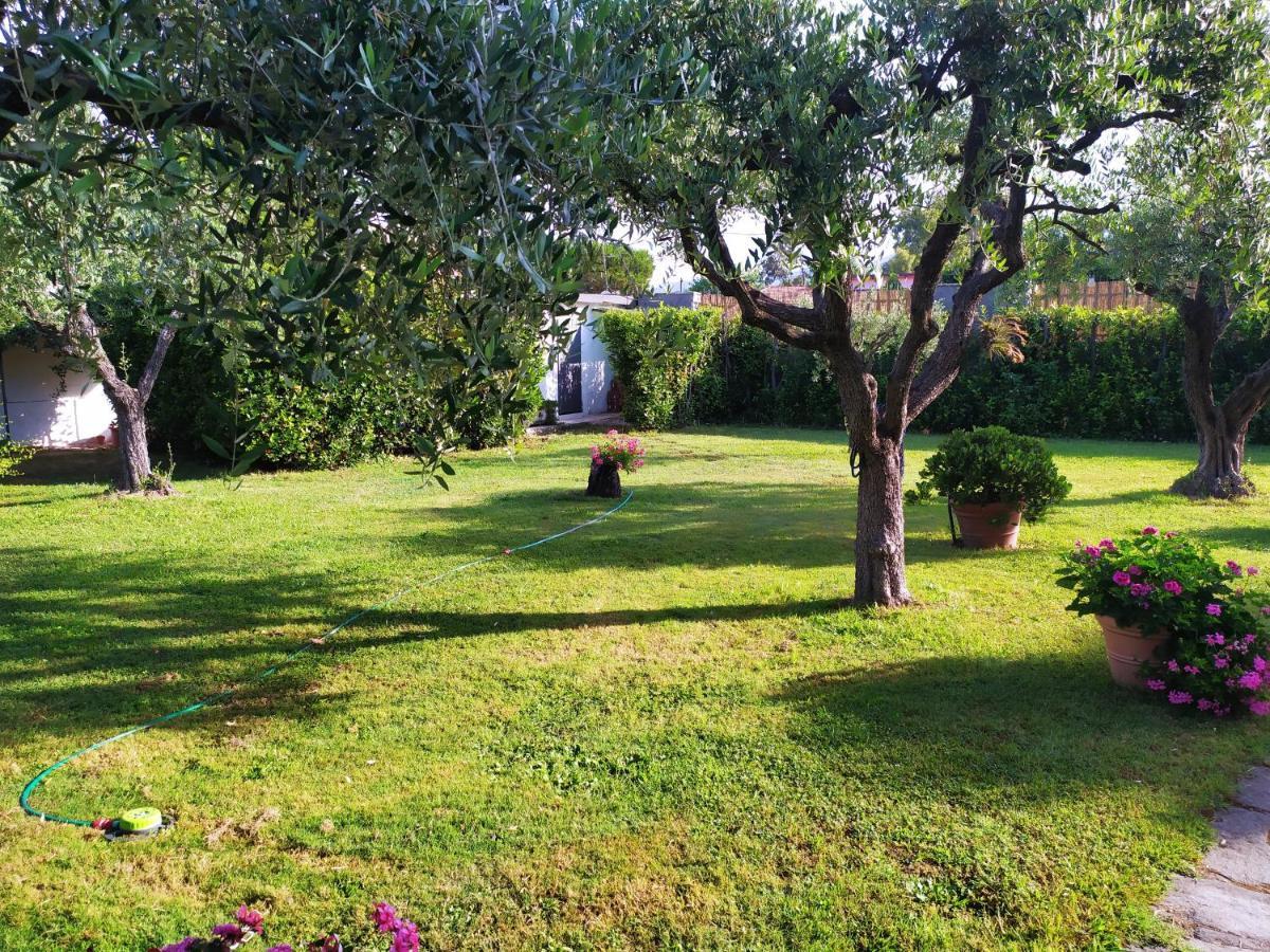 B&B Tra Mare E Marmo Marina Di Carrara Exterior foto
